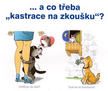 KASTRACE psů na ZKOUŠKU